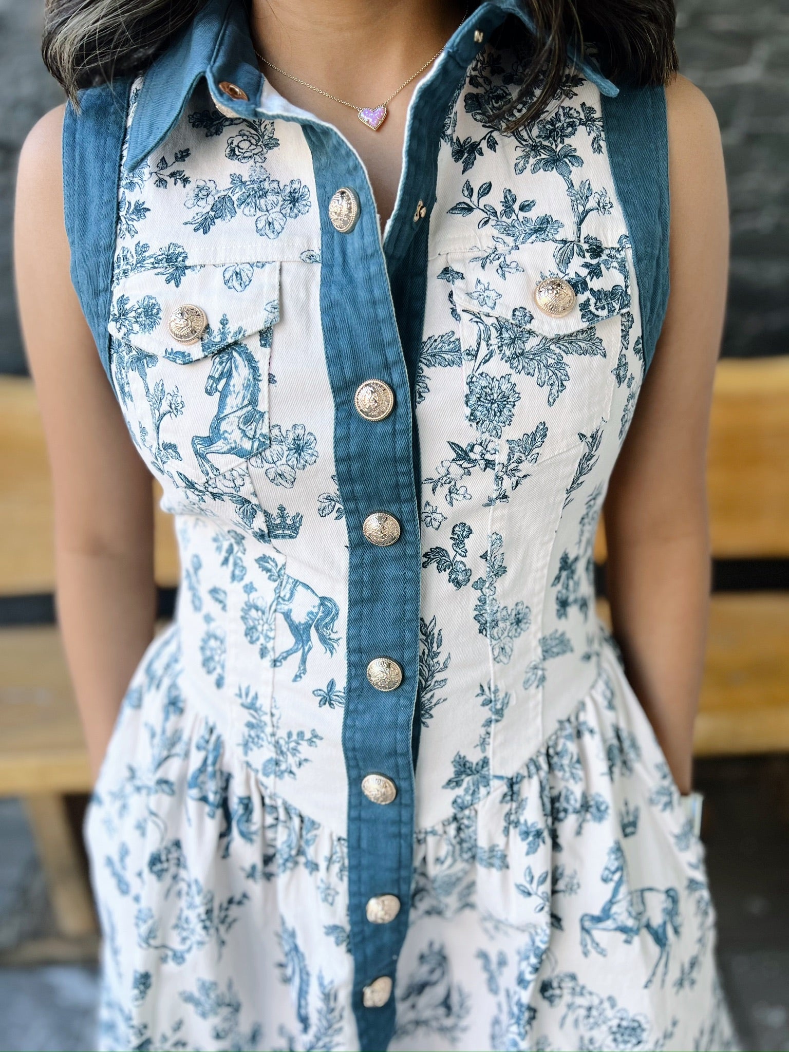 Navy Toile Button Down Dress