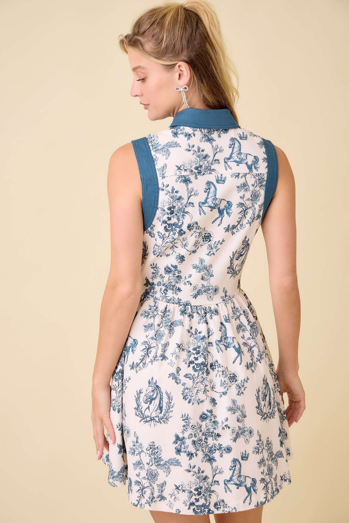 Navy Toile Button Down Dress