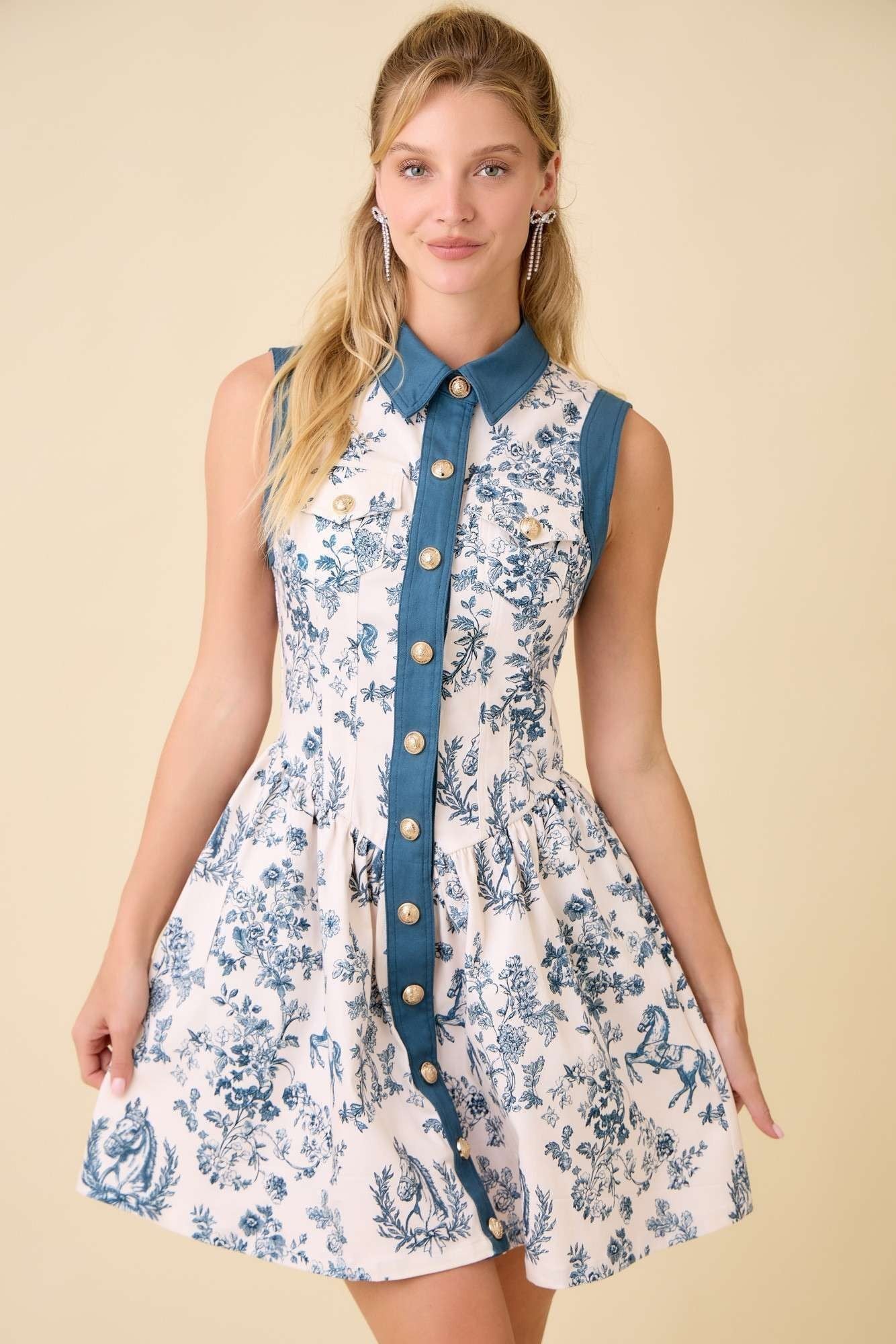 Navy Toile Button Down Dress